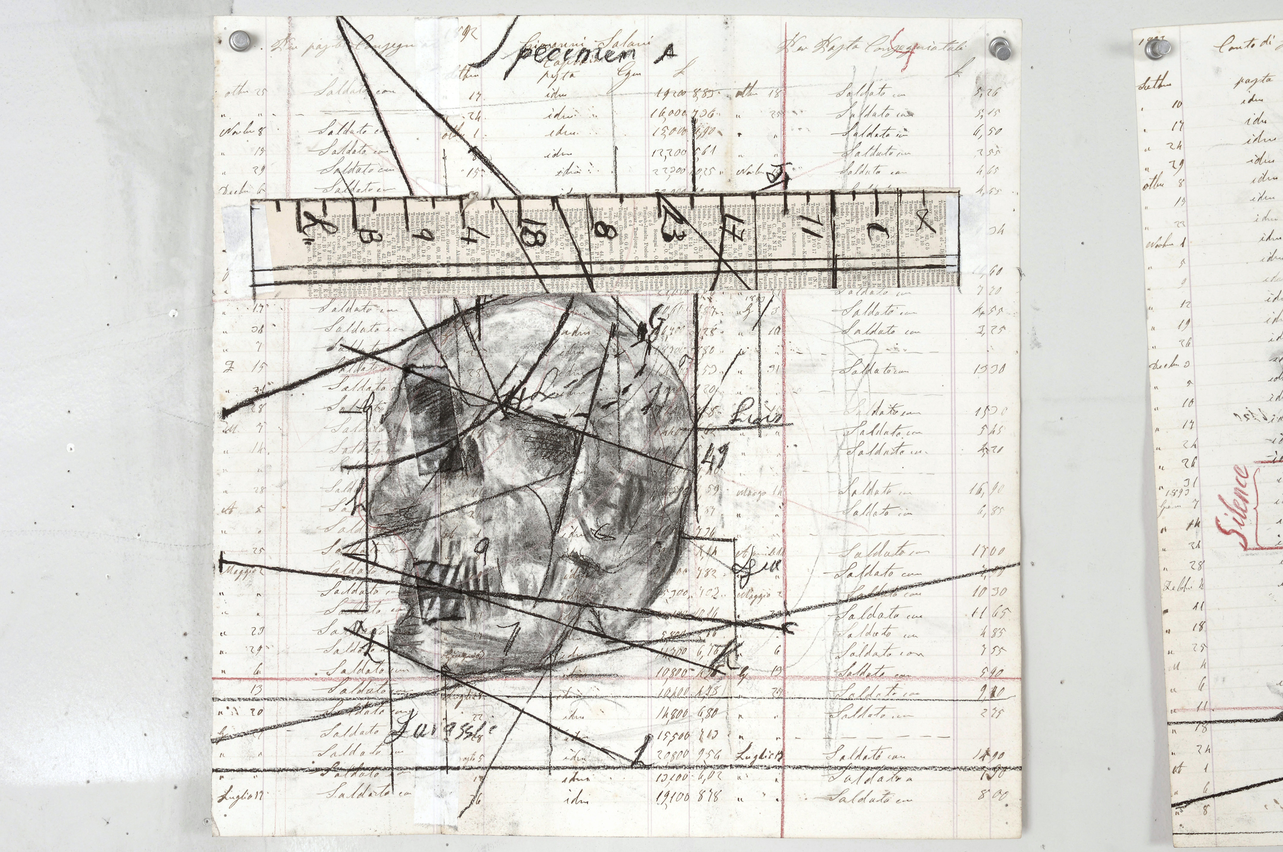 Drawing for Black Box / Chambre Noire (Measured Skull)